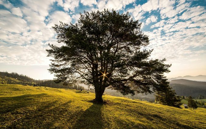 O excesso de mudanças climáticas que têm aconetido ao longo dos últimos tempos, inclusive, são uma resposta do descaso do ser humano com a natureza. (Foto: Pexels)