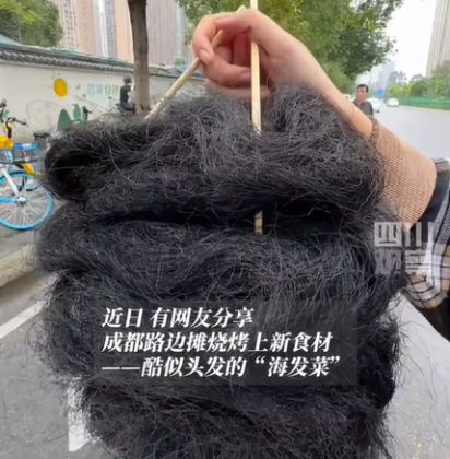 Em Chengdu, na China, as ruas têm atraído atenção para um lanche de aparência incomum (Foto: Reprodução/TikTok)