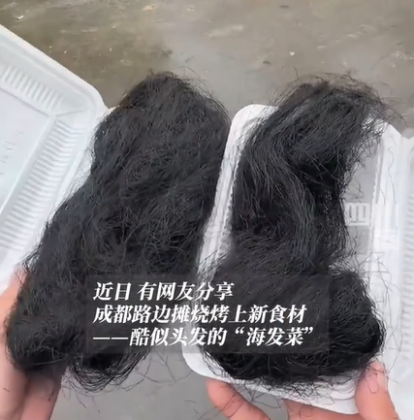 Conhecida como "vegetal de cabelo", essa iguaria faz parte da culinária chinesa há muito tempo, mas agora viralizou nas redes sociais devido à sua semelhança com fios de cabelo (Foto: Reprodução/TikTok)