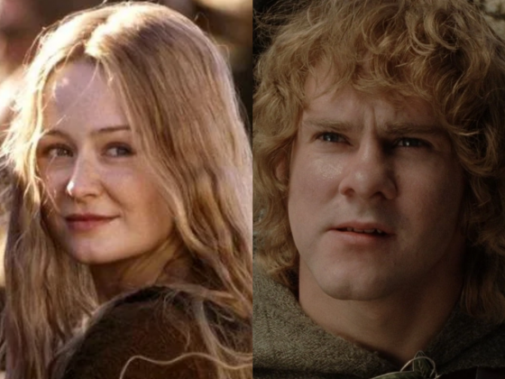 As novas espécies de caracóis receberam nomes inspirados em personagens de O Senhor dos Anéis: Idiopyrgus eowynae e Idiopyrgus meriadoci, em homenagem a Éowyn e Meriadoc Brandybuck (Fotos: Reprodução)