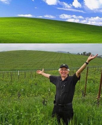 A fotografia "Bliss" tornou-se a imagem de fundo padrão do Windows XP. (Imagem: reprodução Instagram)