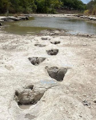 O Rio Paluxy quase secou em várias áreas do Parque Estadual Dinosaur Valley (Imagem: reprodução Instagram)