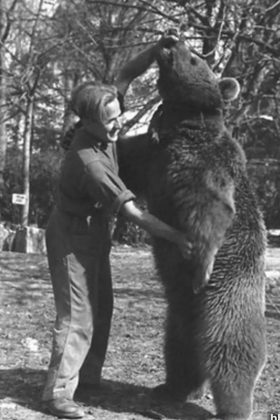 Para levar Wojtek para a Itália, os poloneses precisaram alistá-lo, dando-lhe um nome, uma patente e um número de registro (Foto: The Polish Institute and Sikorski Museum)