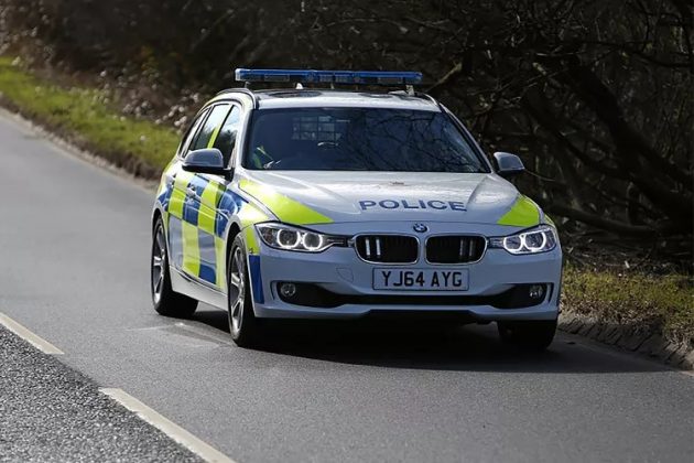 A polícia de North Yorkshire investiga o comportamento anormal do cão para entender melhor o motivo do ataque (Foto: Polícia de North Yorkshire/Facebook)