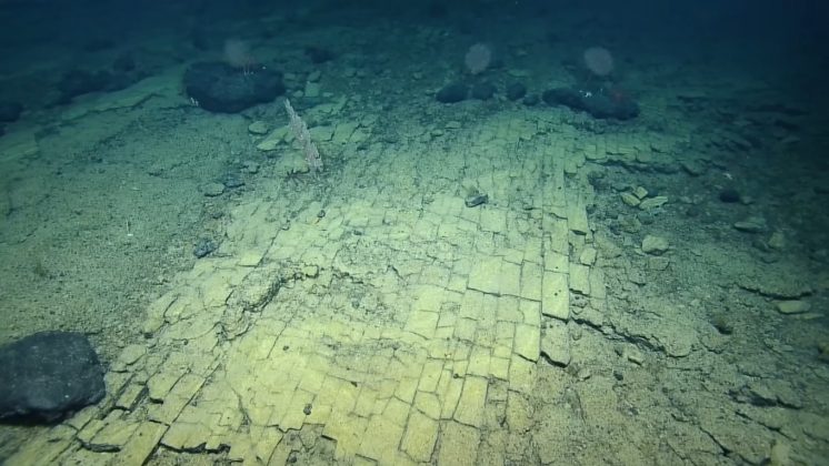 Cientistas encontram misteriosa "estrada de tijolos amarelos" no fundo do oceano (Foto: The Ocean Exploration Trust/E/V/Nautilus/Reprodução/YouTube)