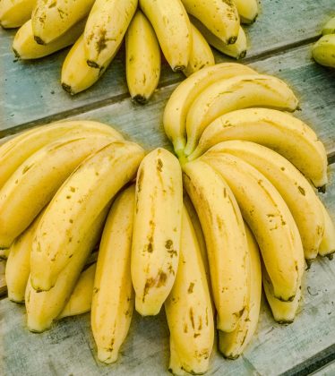 Bananafobia: entenda o transtorno que causa medo de bananas e afeta ministra sueca (Foto: Pexels)