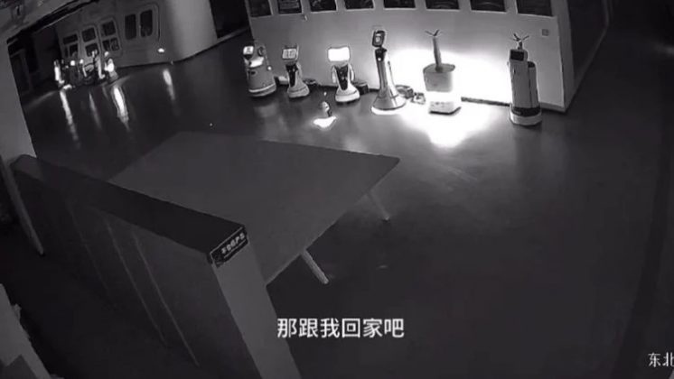 O robô responsável pelo incidente foi identificado como Erbai, desenvolvido por um fabricante rival de Hangzhou (Foto: Reprodução/YouTube)