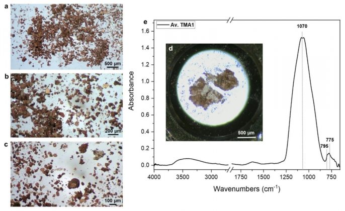 Por meio de análises químicas e de DNA, os pesquisadores identificaram uma mistura de substâncias psicotrópicas, como mel, sementes de gergelim e pinhões, além de fluidos corporais e álcool (Foto: Universidade do Sul da Flórida/Scientific Reports)