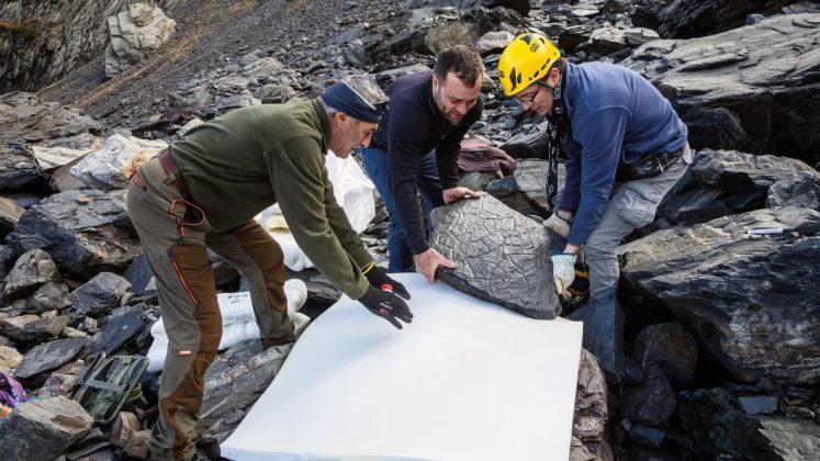 Intrigada, ela compartilhou a descoberta com cientistas, o que levou a uma surpresa ainda maior: um ecossistema de 280 milhões de anos (Foto: Elio Della Ferrera, © Superintendência de Arqueologia, Belas Artes e Paisagem das províncias de Como, Lecco, Monza-Brianza, Pavia, Sondrio e Varese)