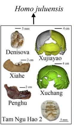 A descoberta foi liderada por pesquisadores da Universidade de Honolulu e da Academia Chinesa de Ciências (Foto: Reprodução/Nature)