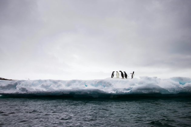 Sob a coordenação de Jefferson Cardia Simões, do Centro Polar e Climático da Universidade Federal do Rio Grande do Sul (UFRGS), a missão reúne 130 pessoas (Foto: Unsplash)