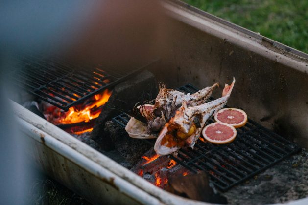 Diferença entre calor moderado e extremo explica como bactérias sobrevivem e se multiplicam (Foto: Unsplash)