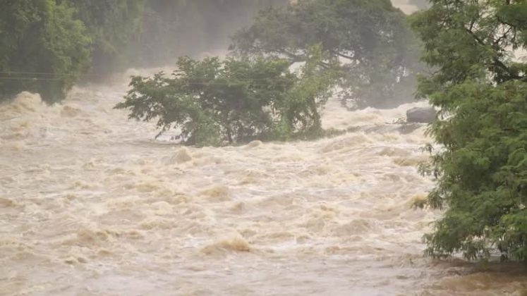 “Estamos à beira de mudanças irreversíveis, mas também diante de uma oportunidade sem precedentes para redefinir nossa abordagem à ação climática”. (Foto: iStock)