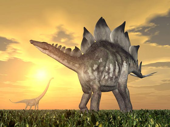 Sempre surgem diversas dúvidas em torno das histórias por trás do surgimento de dinossauros há centenas de milhares de anos. (Foto: iStock)