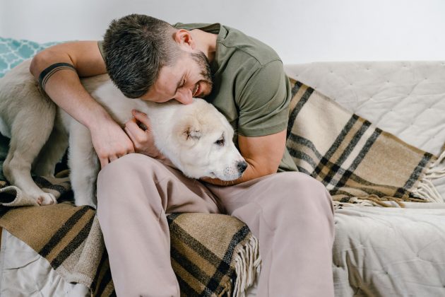 Conexão entre humanos e cachorros podem ocorrer através do olhar. (Foto: Pexels)