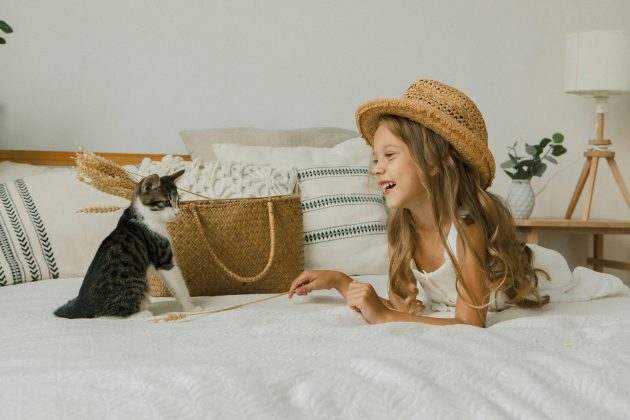 Um estudo científico surpreendeu ao ter revelado que os gatos conseguem ser mais rápidos que os bebês humanos para formação de associações entre imagens e palavras. (Foto: Pexels)