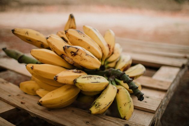 Entre os animais, os machos é que liberam odores para enviarem mensagens às fêmeas, mas no caso dos ratos, as fêmeas é que dizem para machos ficarem longe. (Foto: Pexels)