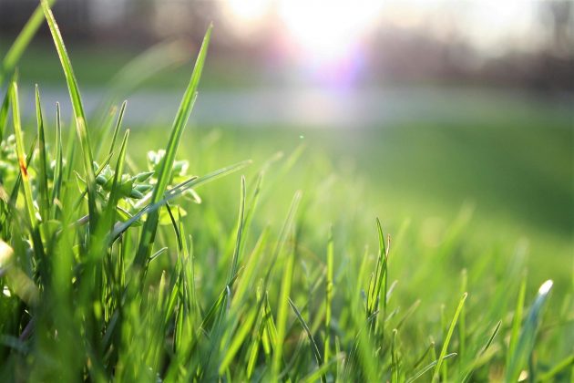 Outra é colocar em prática uma prática instrumentos concretos de política pública e articulação entre os setores público e privado que garantam o alcance dos objetivos climáticos pactuados. (Foto: Pexels)