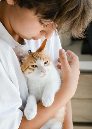 Todavia, os bichanos conseguem, de forma curiosa, reconhecer os sons que saem da boca dos humanos, e em pesquisas, foi mostrado que eles reconhecem o própri nome e o nome de pessoas e animais próximos. (Foto: Pexels)