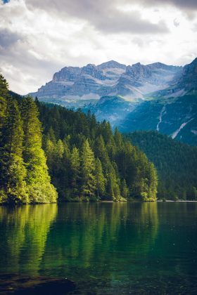 Sem um esforço entre as nações, incentivos e investimentos em políticas de transição a uma economia de baixo carbono podem criar novas desigualdades. (Foto: Pexels)