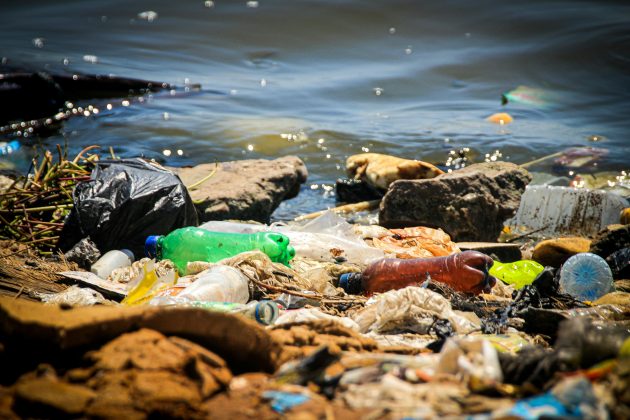 Além disto, cerca de 98% dos peixes analisados em riachos da Amazônia continham plástico no intestino e nas brânquias. (Foto: Pexels)