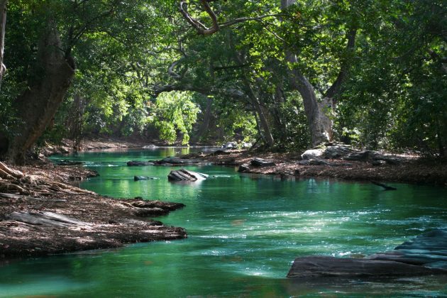 Enfrentar a crise climática não pode agravar as desigualdades existentes. O relatório entra em defesa que a transição para uma economia verde deve incluir as populações mais vulneráveis. (Foto: Pexels)