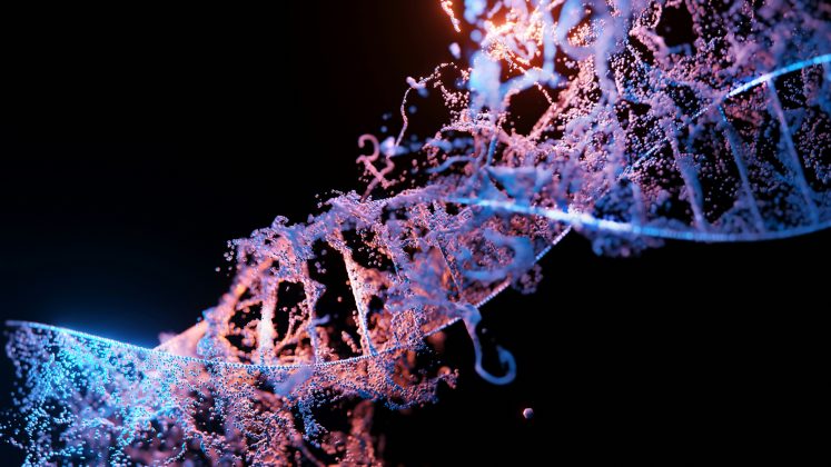 Atualmente, o número oficial de genes é estimado em 20 mil, mas os pesquisadores acreditam que o total real pode ultrapassar 50 mil (Foto: Unsplash)