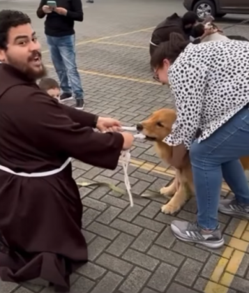 O golden retriever brincava com o cíngulo do frei franciscano (Imagem: reprodução Instagram).