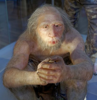 Pesquisadores do Museu Nacional de Ciências Naturais de Madri, na Espanha, descobriram novas evidências sobre a adaptação dos neandertais ao frio (Foto: Jakub Hałun, CC BY-SA 4.0, via Wikimedia Commons)
