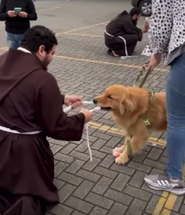 Tutu roubou a cena no evento de bênção dos animais (Imagem: reprodução Instagram). Tutu roubou a cena no evento de bênção dos animais (Imagem: reprodução Instagram).