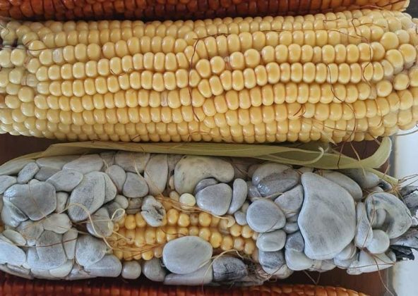 O sabor do huitlacoche mistura notas de shiitake e cogumelos secos. (Imagem: reprodução instagram)