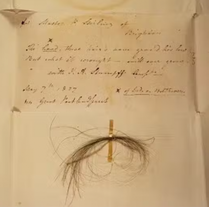 Pesquisadores, ao analisar amostras de cabelo de Beethoven, desvendaram detalhes importantes sobre sua condição médica e até mesmo sua linhagem genealógica (Foto: Instagram)