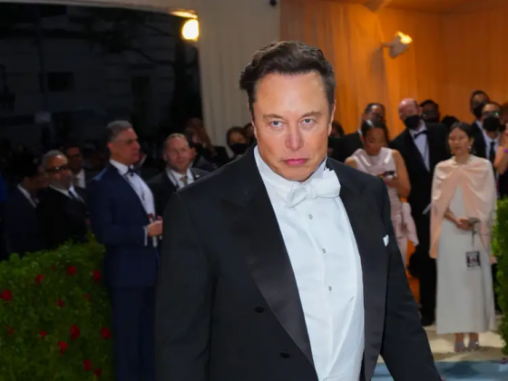 Especialistas observam que a influência de Musk vai além de seus negócios (Foto: X)