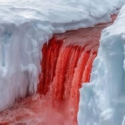 Blood Falls encanta pela cascata vermelha intensa. (Imagem: reprodução Instagram)