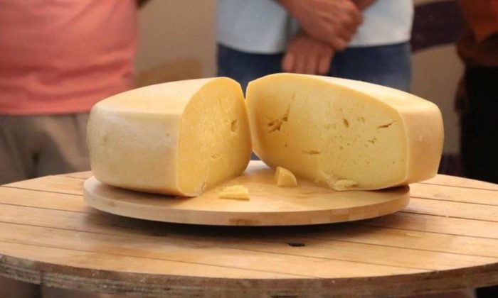 A Unesco destacou a tradição de produção do queijo, que tem mais de três séculos de história (Foto: Sistema Faemg Senar)