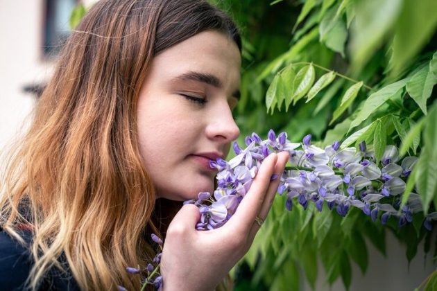 Enquanto isso não acontece, está focada na criação de moléculas mais seguras para fragrâncias em produtos de uso diário, como xampus e detergentes (Foto: Freepik)