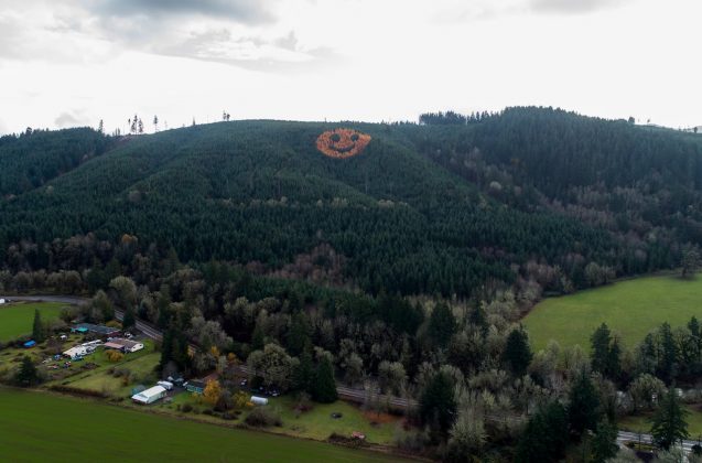 Como resultado, motoristas que passam pelo marco 25 podem ver o sorriso na encosta florestada (Foto: The Oregonian)