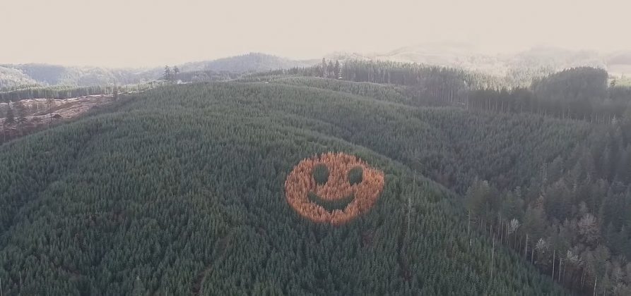 Esse rosto sorridente permanecerá visível por 30 a 50 anos, até a colheita das árvores (Foto: The Oregonian)