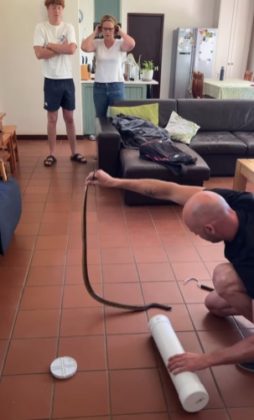 Felizmente, um dos moradores percebeu a cobra antes de se deitar (Foto: Reprodução/Instagram/@stellenbosch_snake_removals)