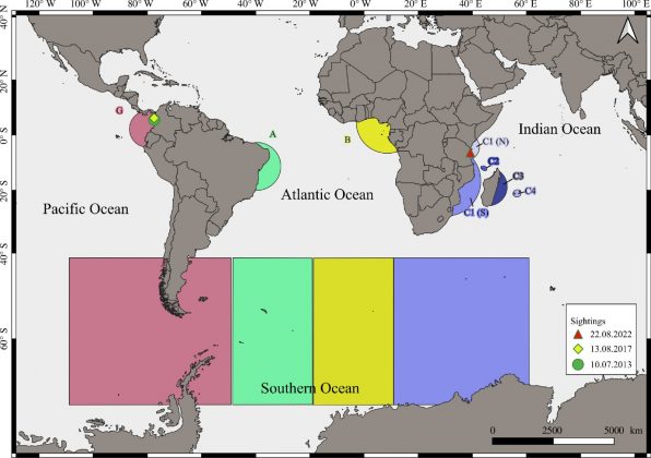 A baleia partiu da Colômbia e chegou à Tanzânia, passando pelos oceanos Pacífico, Atlântico e Índico (Foto: Kalashnikova et al.)