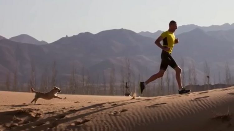 Em 2016, Dion Leonard embarcou em uma maratona épica no deserto de Gobi, na China. Durante a corrida, uma cachorrinha o seguiu (Foto: Reprodução/Instagram/@findinggobi)