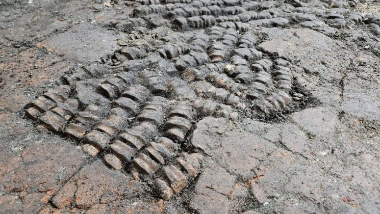 Arqueólogos encontram misterioso piso feito de ossos na Holanda (Foto: Team Archeologie, gemeente Alkmaar)