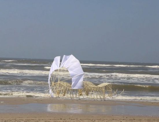 O objetivo de Theo é soltar suas criações na praia de Scheveningen, onde as crianças podem vê-las andar (Foto: Strandbeest Webshop/YouTube)