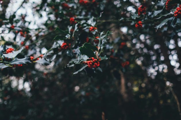 Em 1645, o Parlamento proibiu o feriado, tratando-o como um dia comum de trabalho (Foto: Unsplash)