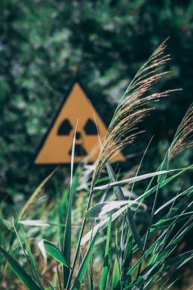 "A bebida foi produzida com maçãs cultivadas na zona de exclusão de Chernobyl." (Imagem: pixabay)