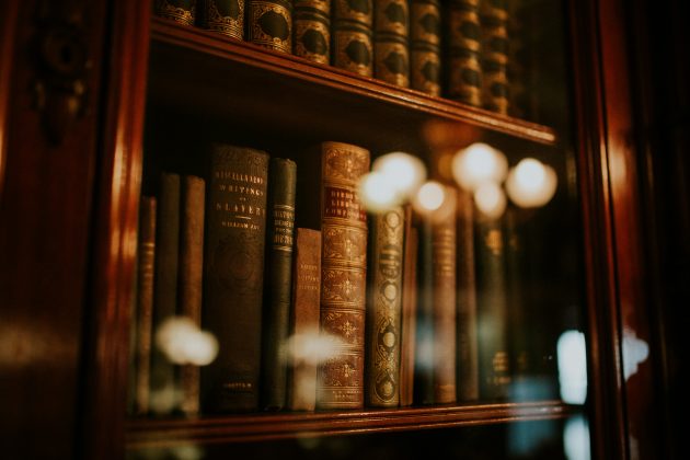 Em uma publicação nas redes sociais, a biblioteca compartilhou o episódio inusitado (Foto: Unsplash)