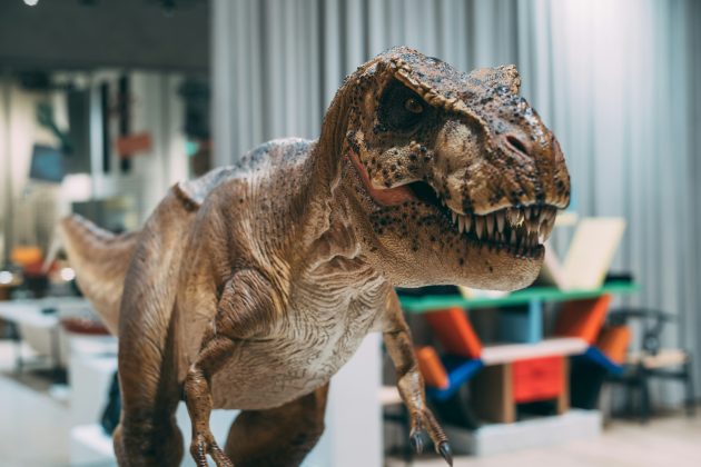 A ideia de que dinossauros possam ter sobrevivido em alguma região isolada do planeta continua a instigar a imaginação popular (Foto: Unsplash)