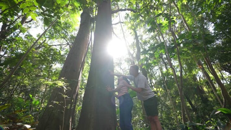 O Pantanal, que já enfrenta a pior seca em 40 anos, além do recorde de queimas, que ocorrem também da Amazônia, já causam transtornos em diversas regiões do Brasil, e, de acordo com a ministra, na Comissão de Meio Ambiente do Senado, os prejuízos serão diversos. (Foto: iStock)