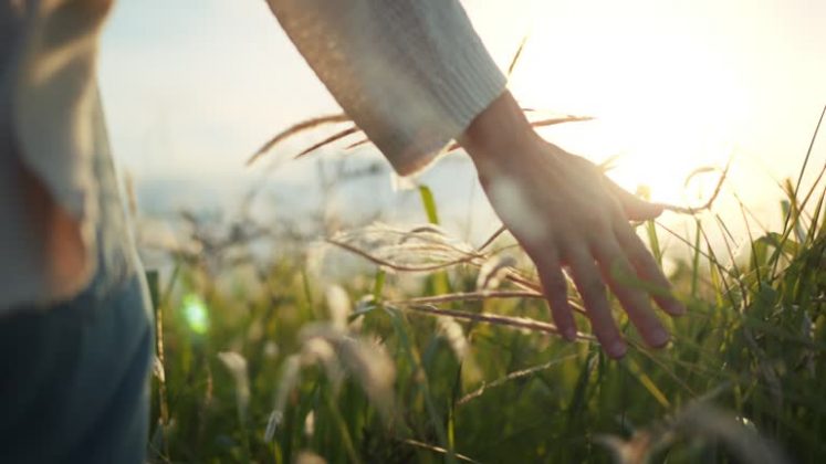 “Acumular evidências científicas que apoiem os benefícios para a saúde da exposição à natureza provavelmente aumentará a oferta de espaços verdes de alta qualidade em ambientes urbanos e promoverá seu uso ativo”. (Foto: iStock)