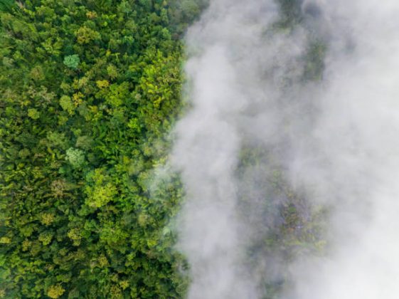 O artigo avaliou cerca de 375 doenças infecciosas humanas documentadas e observaram quais as mudanças climáticas. (Foto: iStock)